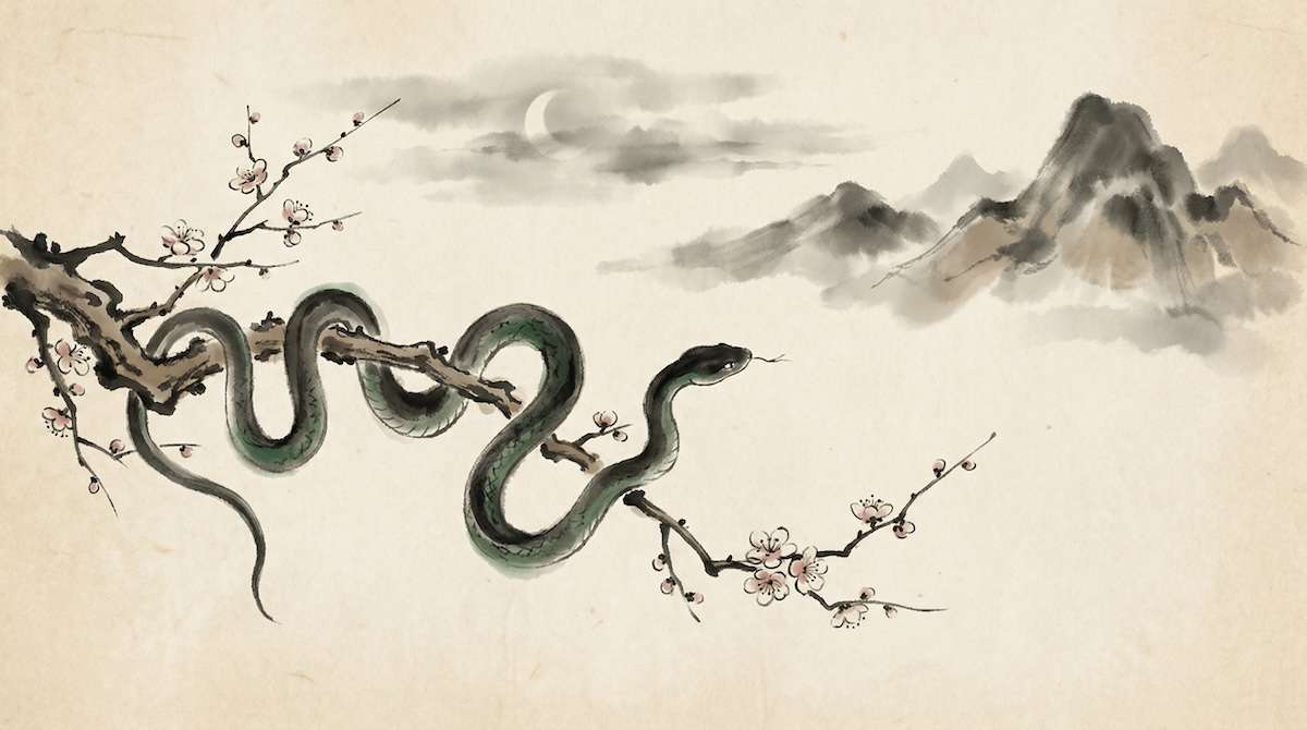 Chinesisches Sternzeichen Schlange — 5 Elemente, Bedeutung & Stärken