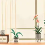 Feng Shui Pflanzen — Zimmerpflanzen für positive Energie im chinesischen Tuschmalerei-Stil